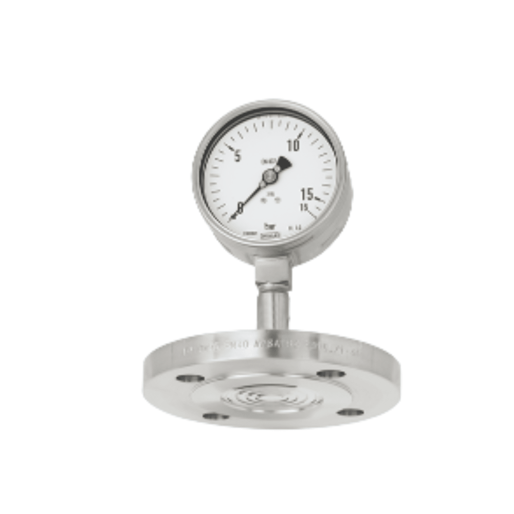 Diaphragm seal systems